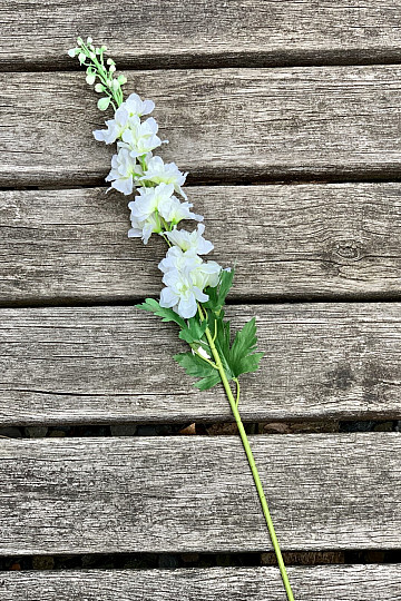 Delphinium fehér 79 cm