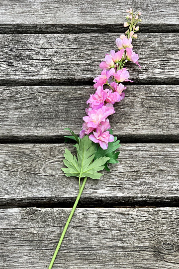 Delphinium rózsaszín 79 cm