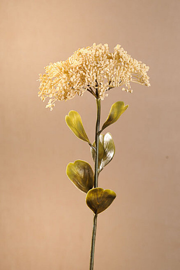 DRY FULL BLOOM SEDUM 46 cm fehér