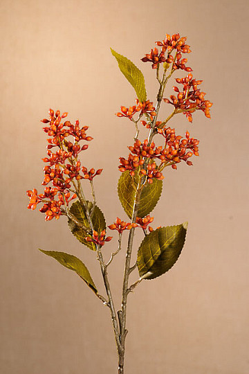 SZÁRAZ VIBURNUM TINUS 58 cm narancs