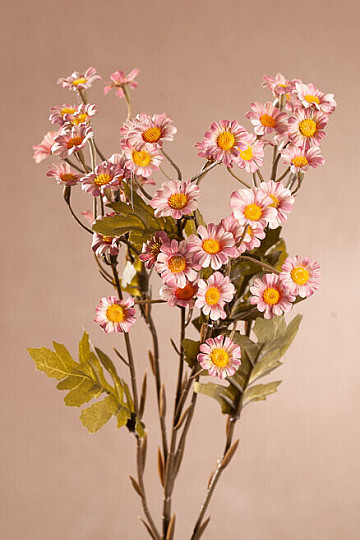 MINI DAISY PINK