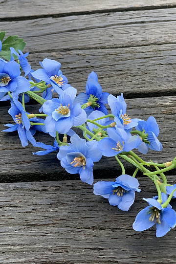 KÉK SZARPHINIUM