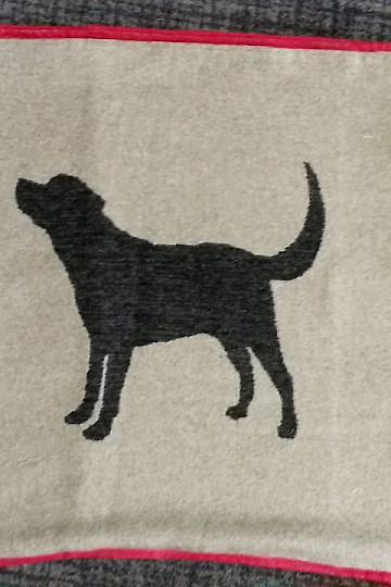DF takaró kutyáknak LABRADOR bézs