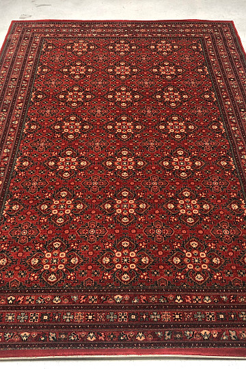 Luxus gyapjú szőnyegek KASHQAI 4372/300