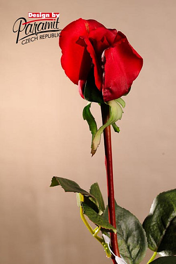 Rózsarügy vörös 70 cm