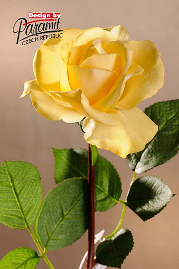 Sárga rózsa 67 cm
