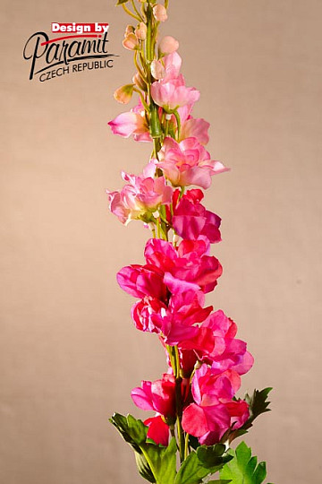 Delphinium bordó 79 cm