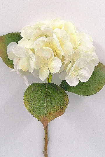 Fehér hortenzia 48 cm
