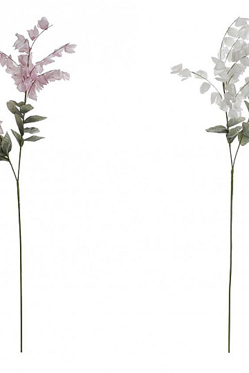 Wisteria 126 cm