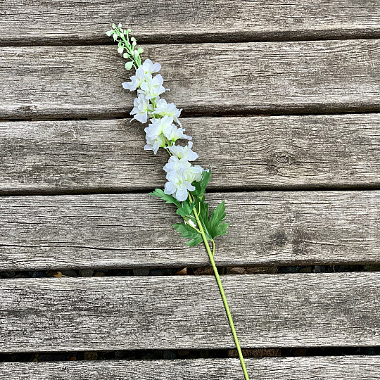 Delphinium fehér 79 cm