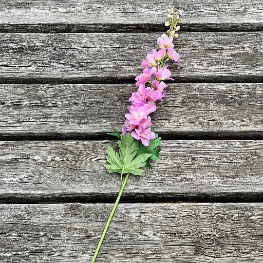 Delphinium rózsaszín 79 cm