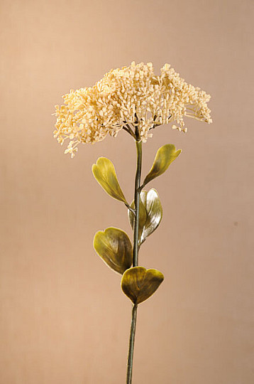 DRY FULL BLOOM SEDUM 46 cm fehér