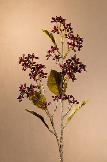 SZÁRAZ VIBURNUM TINUS 58 cm bordó