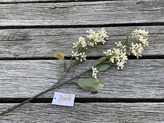SZÁRAZ VIBURNUM TINUS 58 cm fehér
