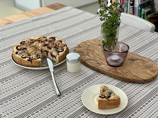 Abrosz és kendő TOSCANA VALERY RIGA BORDON STRIPE