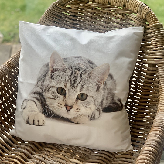 Dekoratív párnahuzat FEKEZDŐ CAT