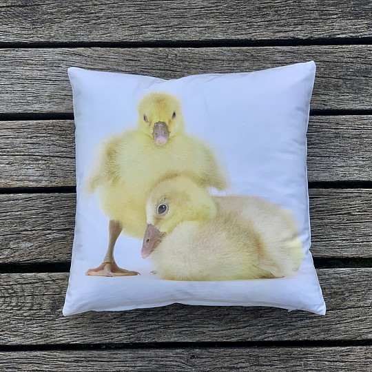 Dekoratív párnahuzat GOOSE