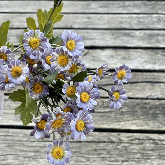 MINI DAISY BLUE