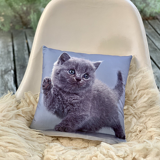 Dekoratív takaró KITTY