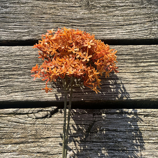 SZÁRAZ KORONAVIRÁG NARANCS