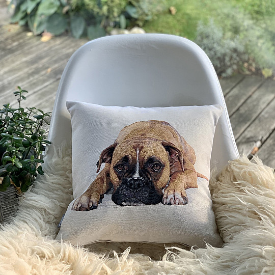 Gobelin párnahuzat BOXER