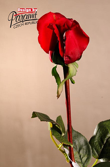 Rózsarügy vörös 70 cm