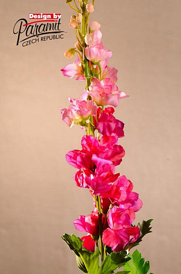 Delphinium bordó 79 cm