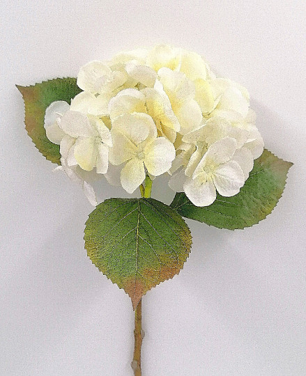 Fehér hortenzia 48 cm