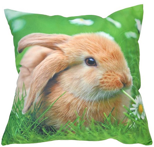 Díszpárnahuzat BUNNY