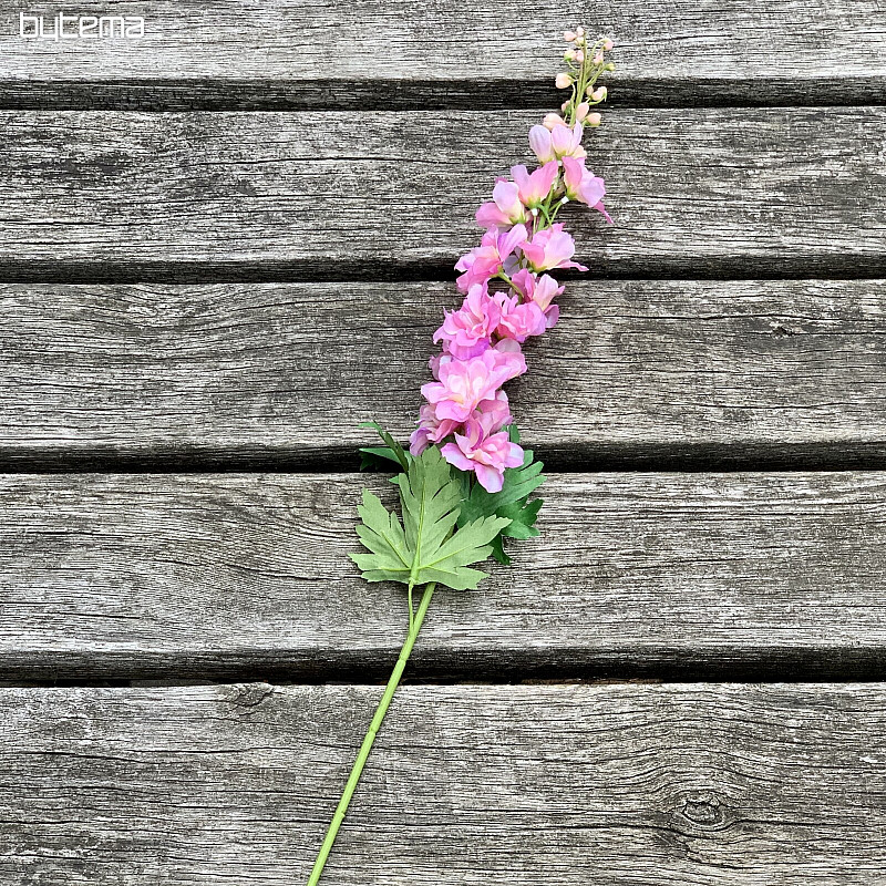 Delphinium rózsaszín 79 cm