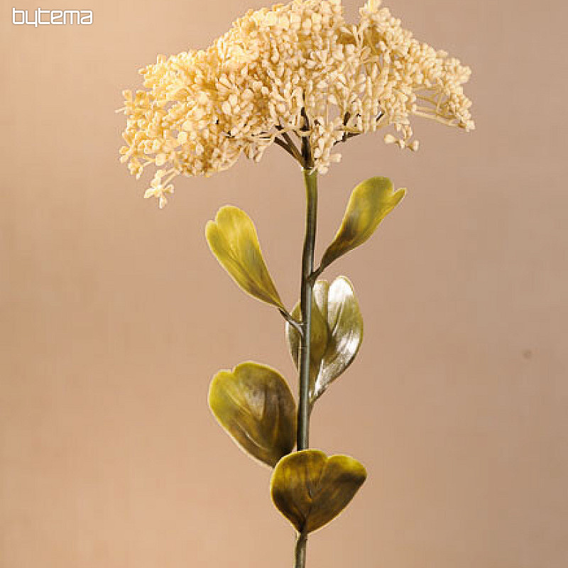 DRY FULL BLOOM SEDUM 46 cm fehér