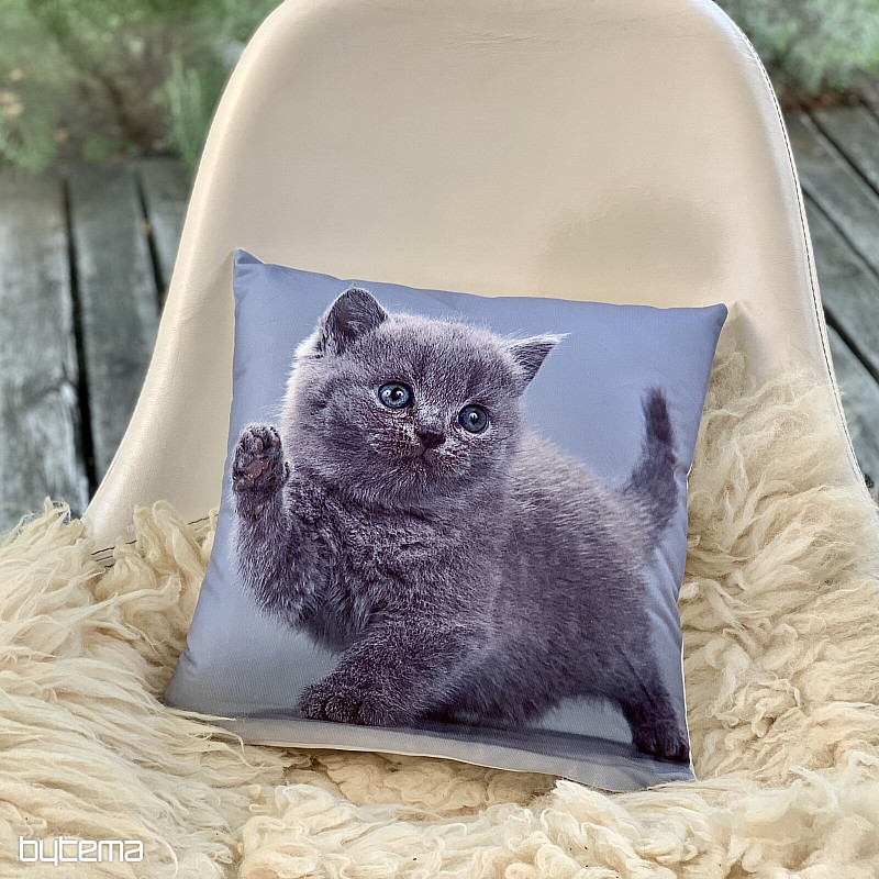 Dekoratív takaró KITTY
