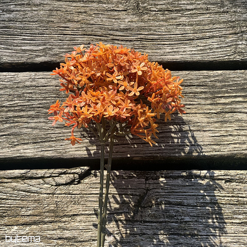 SZÁRAZ KORONAVIRÁG NARANCS