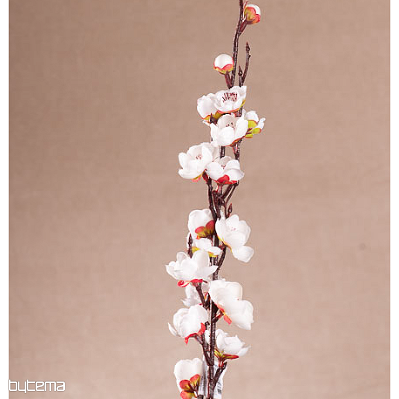 FEHÉR CSERESZNYEFÁK TAVASZI