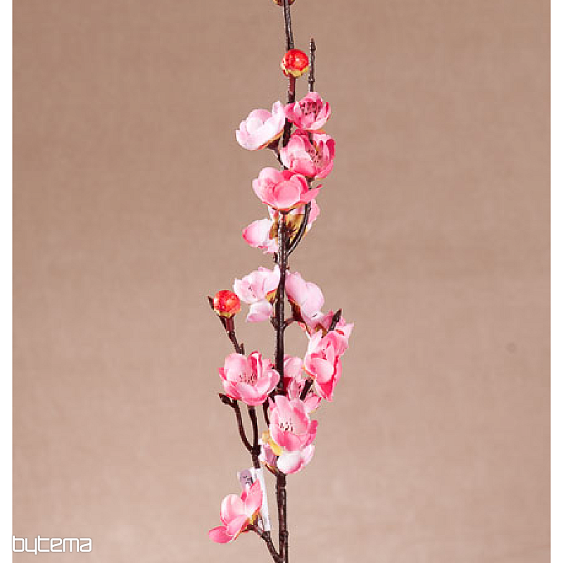 CSERESZNYEFA TAVASZI RÓZSASZÍN