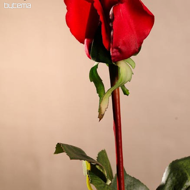 Rózsarügy vörös 70 cm