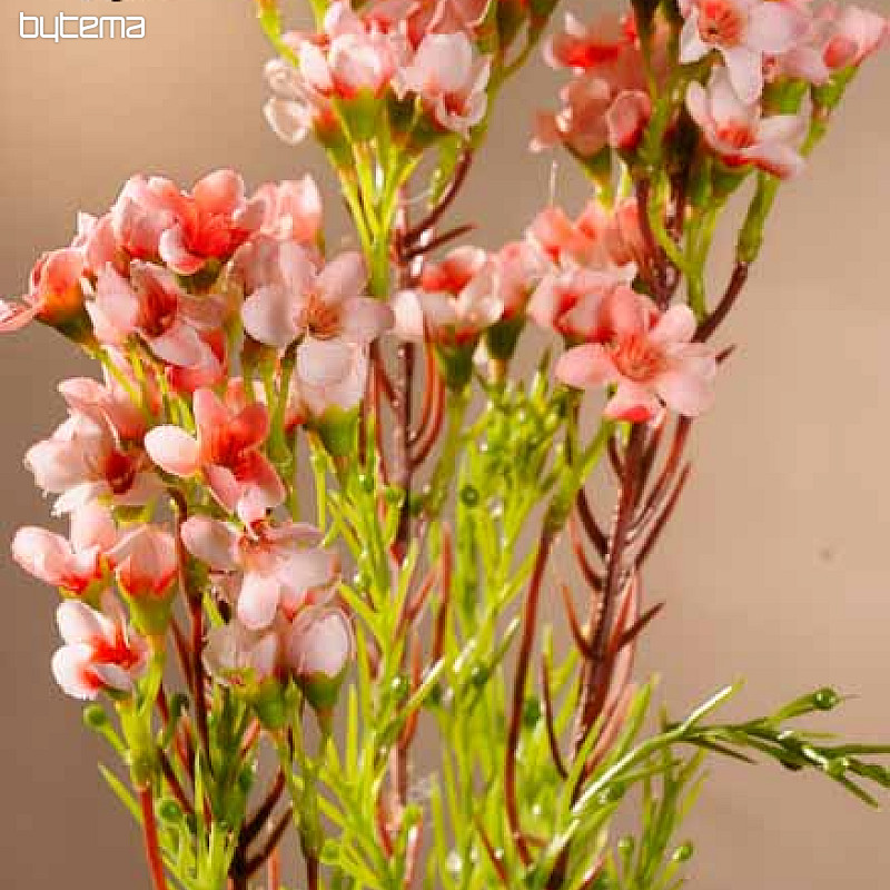 Viaszvirág világos rózsaszín 79 cm