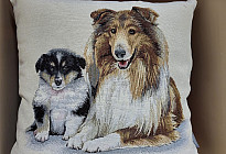 Állatbarátoknak - lágyság, ami megszelídít