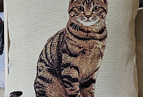 Állatbarátoknak - lágyság, ami megszelídít