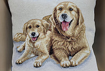 Állatbarátoknak - lágyság, ami megszelídít