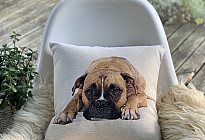 Állatbarátoknak - lágyság, ami megszelídít