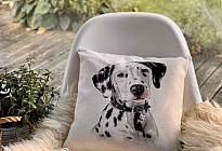 Állatbarátoknak - lágyság, ami megszelídít