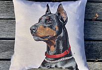 Állatbarátoknak - lágyság, ami megszelídít