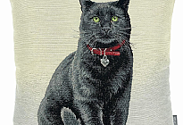 Állatbarátoknak - lágyság, ami megszelídít