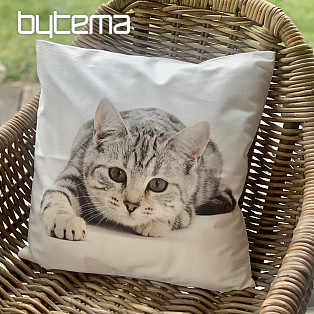 Dekoratív párnahuzat FEKEZDŐ CAT