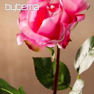 Világos rózsaszínű rózsa 67 cm