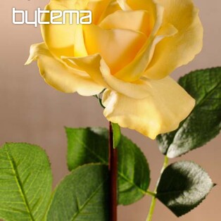 Sárga rózsa 67 cm
