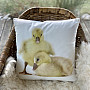 Dekoratív párnahuzat GOOSE