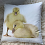 Dekoratív párnahuzat GOOSE