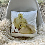 Dekoratív párnahuzat GOOSE